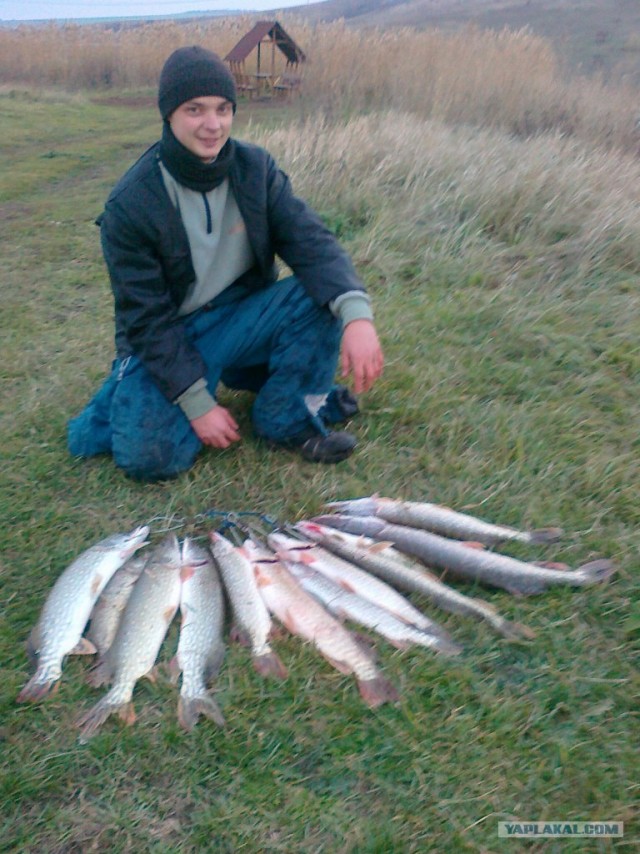 Нежданный трофей, во время соревнований