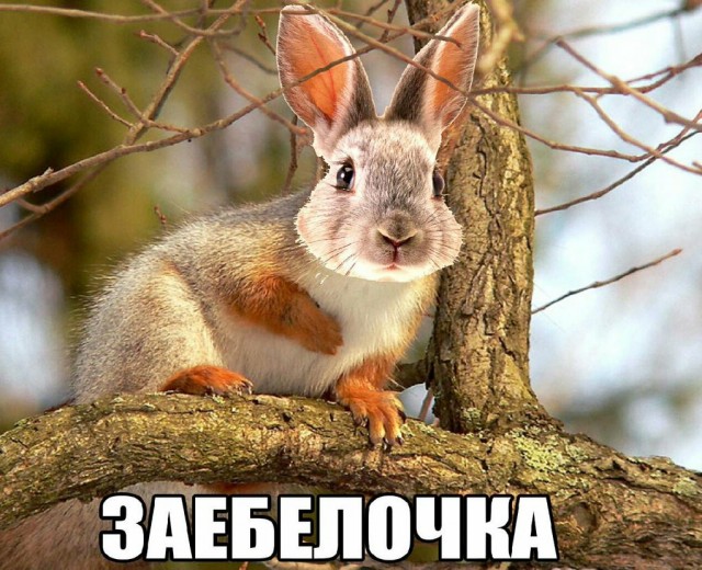 Прикольные фото к субботе