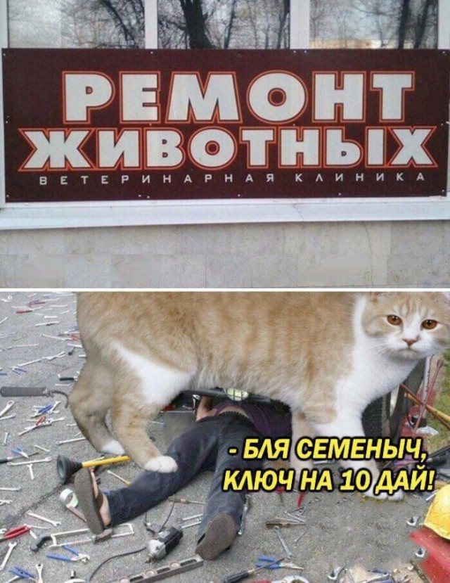 Картинки с надписями и всякие жизненные фразы 29.05.21