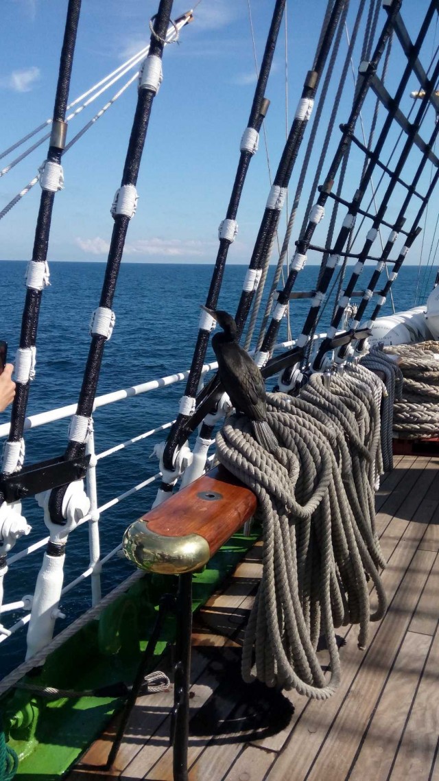 Морская романтика