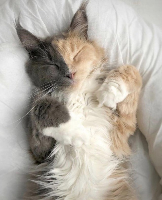 Неверятно кросивое