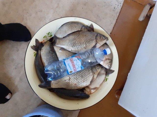 Карась пошел!