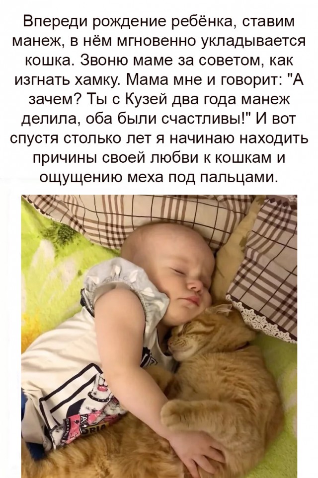 Картинки и мемы для настроения 2021.09.07