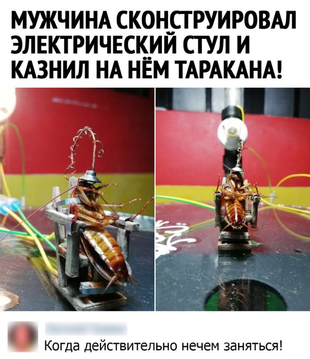 Так себе картинки 20.09.21