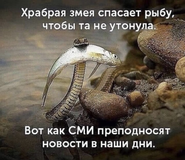 Картинки и мемы, всем прекрасных выходных