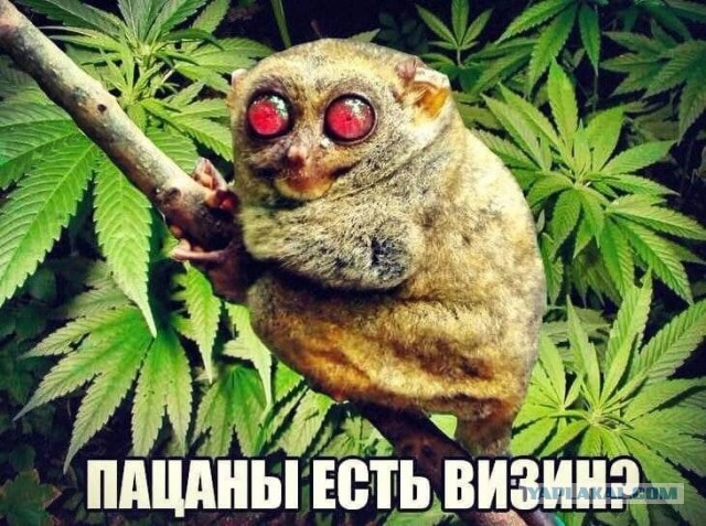 Первый мой рисунок в паинте!