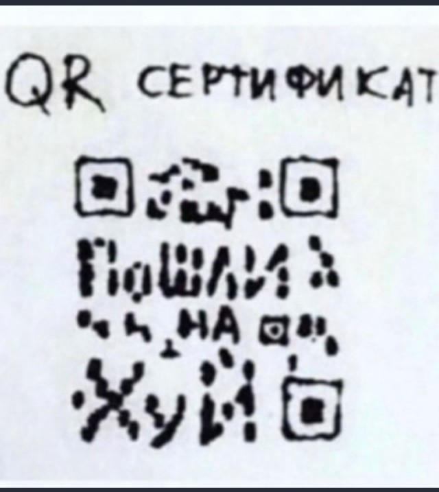 Комитет Госдумы по здравоохранению поддержал законопроект о QR-кодах в общественных местах
