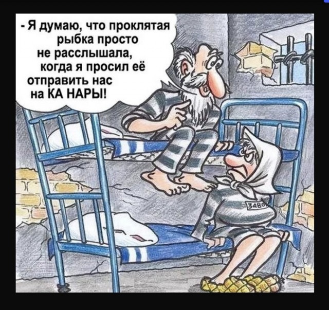 Чуток картинок 12.01.2022