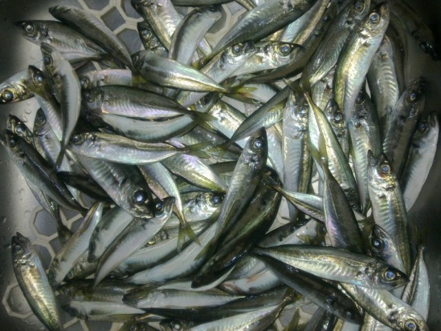 Черное море