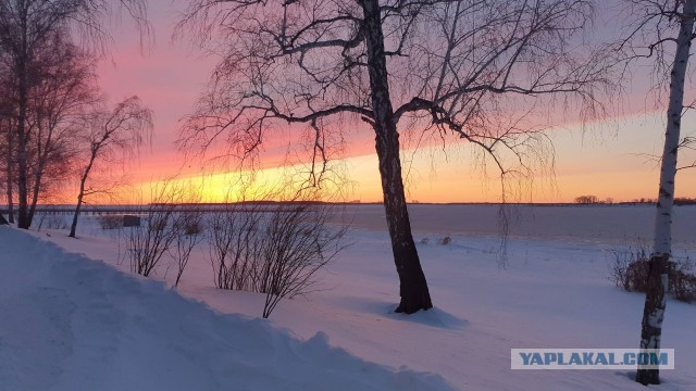 Фотки с телефона.