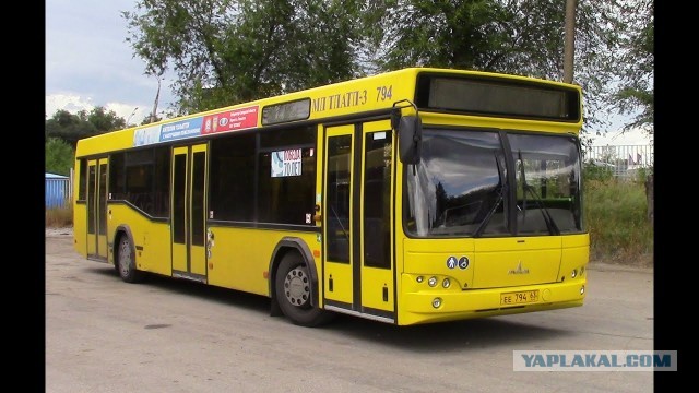 Хроника падения: что стало с легендарным Икарусом и какие автобусы сейчас выпускает завод