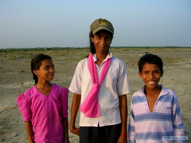 Индия 2007 - 2008 г.