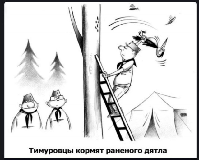 Спасение дятла