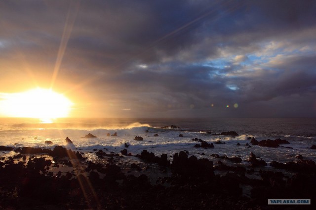 Южно-Американский дневник. остров Пасхи