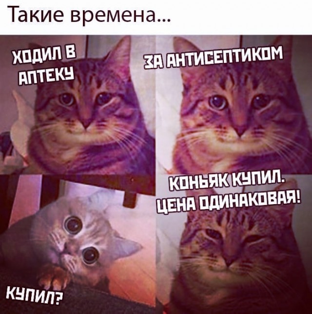 Клуб анонимных алкоголиков