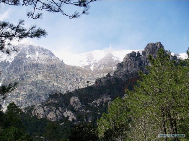 Франция. Корсика.