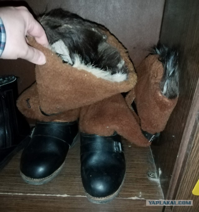 Есть ли у вас вещь из СССР, который вы до сих пор пользуетесь?