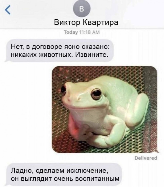 Разнообразного характера мемы