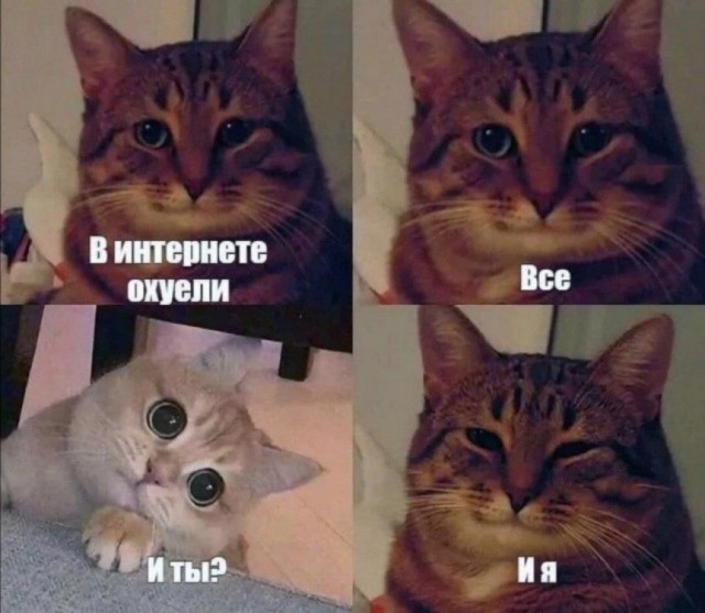 Этого.Не.Можед.Быдь