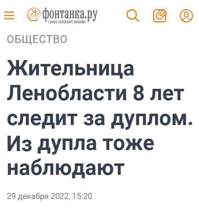Картинки и мемы, выходные продолжаются