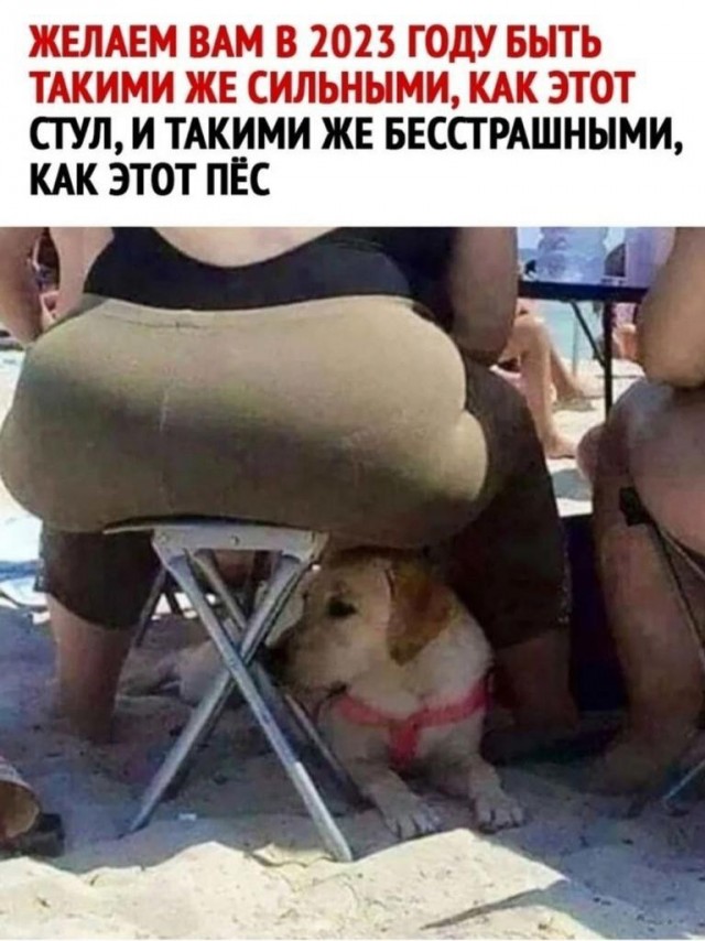 Картинки разные нужны, картинки разные важны!