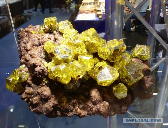 Mineralientage München 2018