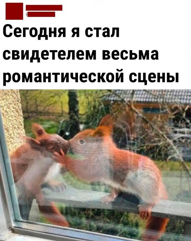 Так себе картинки 06.05.23