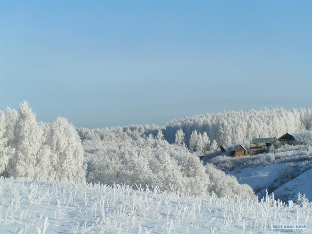 Русская зима (10 фот)