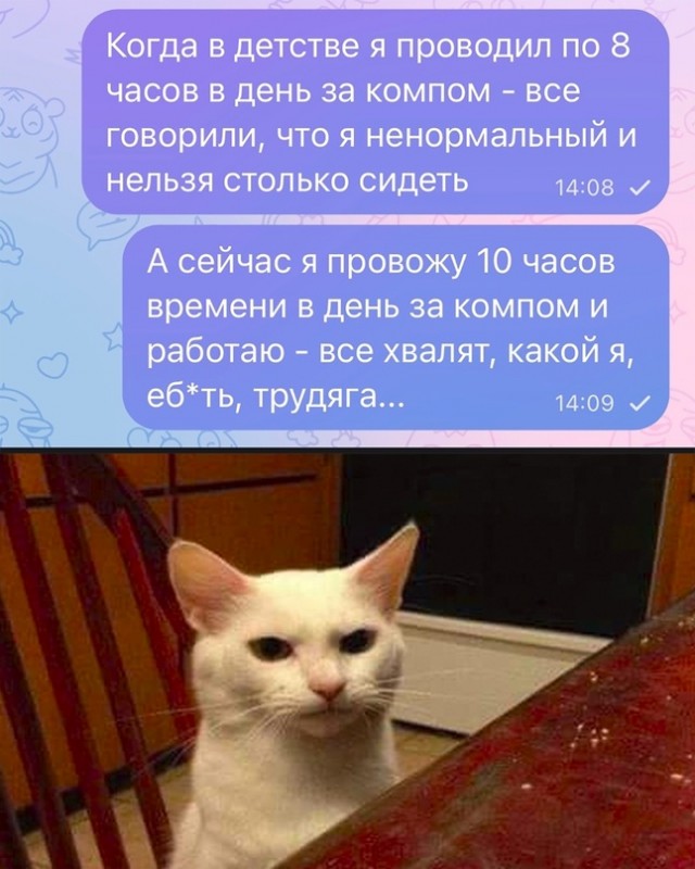 Весёлый полтишок 07.08.23