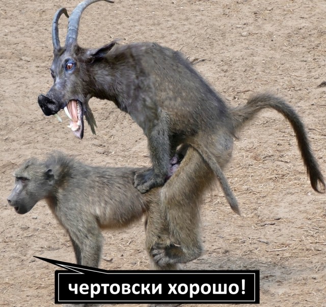 Чёрно-пошлая среда для деградантов