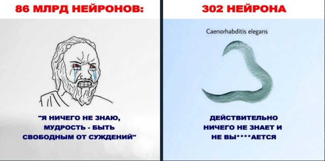 Отмена деградации VI. Околонаучные картинки