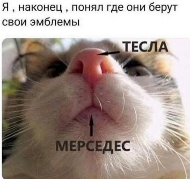 Мы не знаем, что это такое...