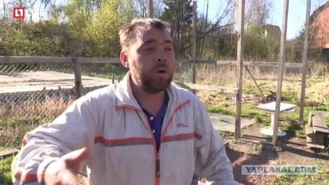 Майдан или нет?