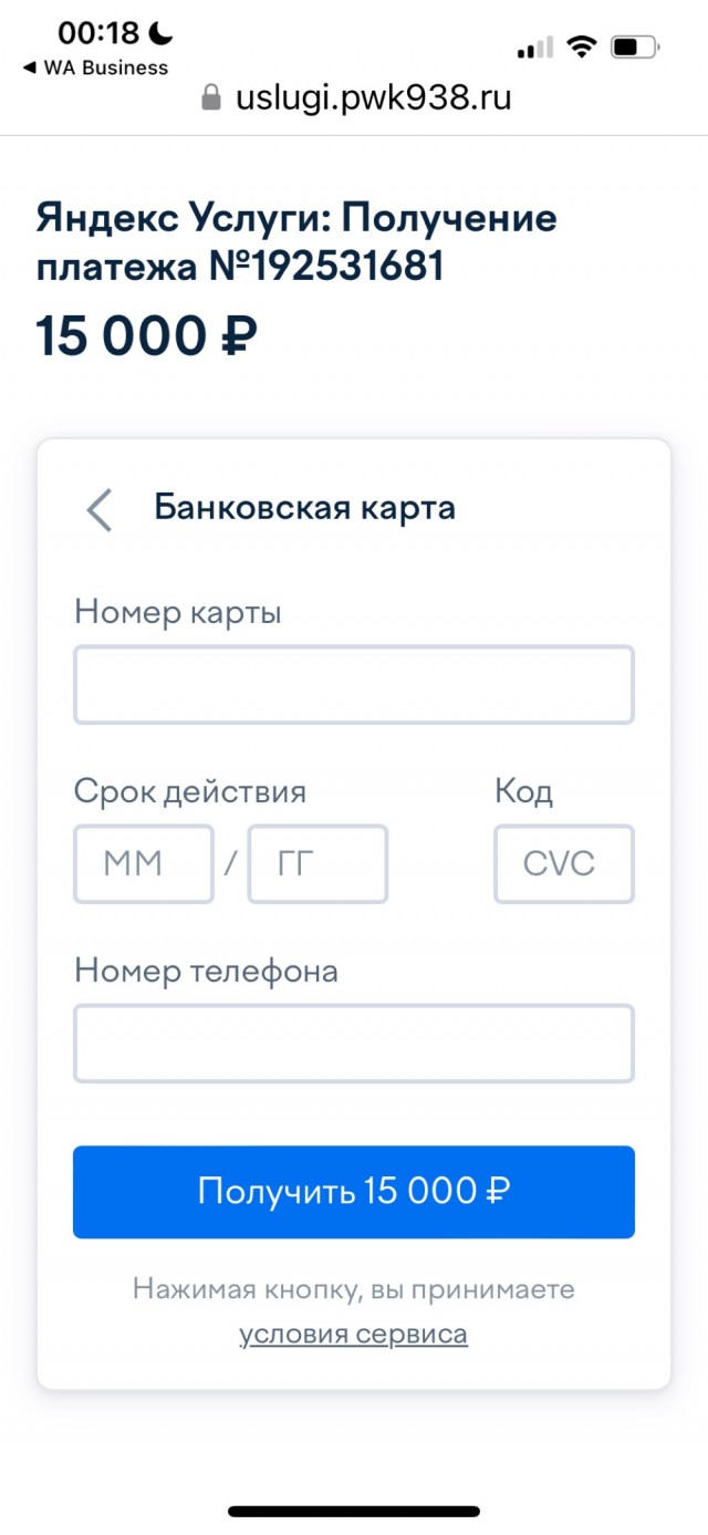Развели, так развели. Выложила все, даже CVV