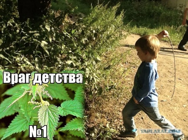 Я даже не знаю, что бы я мог отдать в детстве за такие игрушки