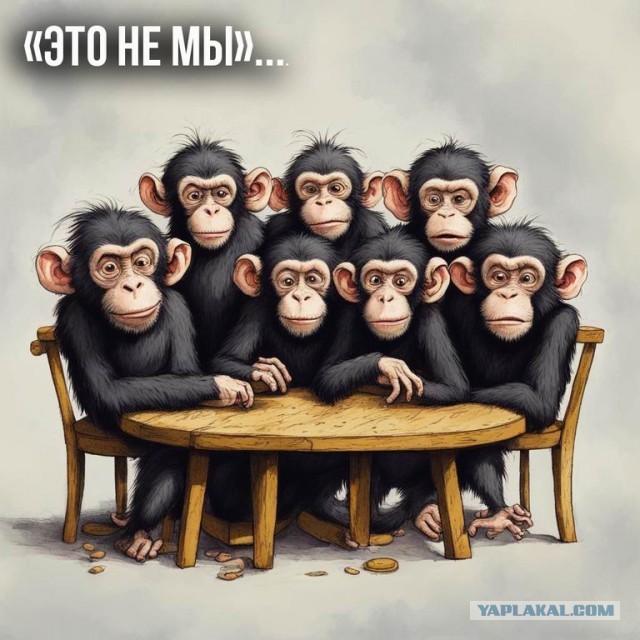 А чего Таджикистон?