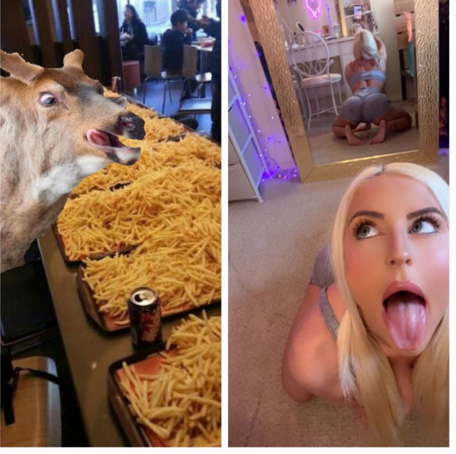 ФотоВинегрет