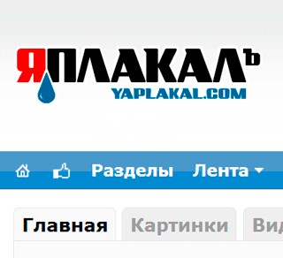 Грустный какойто, на лиса  похож