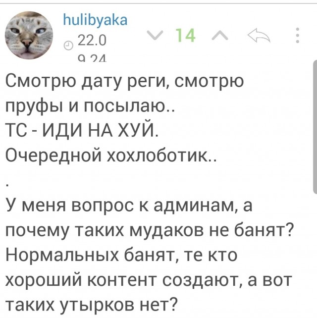 Песков не стал комментировать публикации об инциденте с "Сарматом"