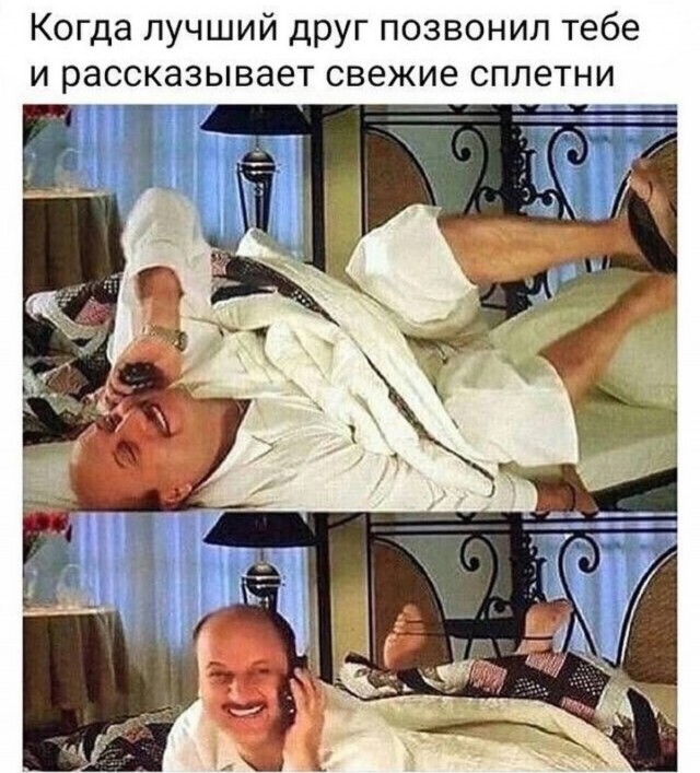 Весёлый полтишок 22.11.24