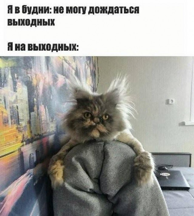 Веселые картинки к пятнице