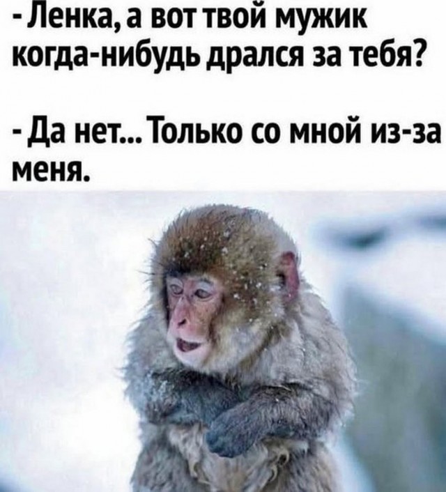 Нуштош 14.01.2025. Теперь ждем лета (s3e2)