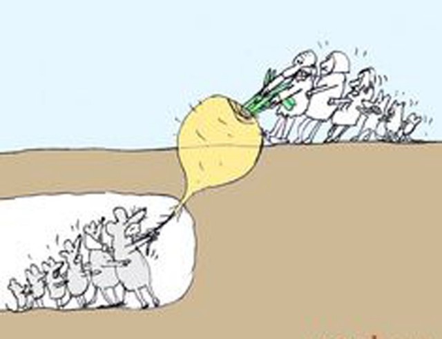 Так себе картинки 16.01.25