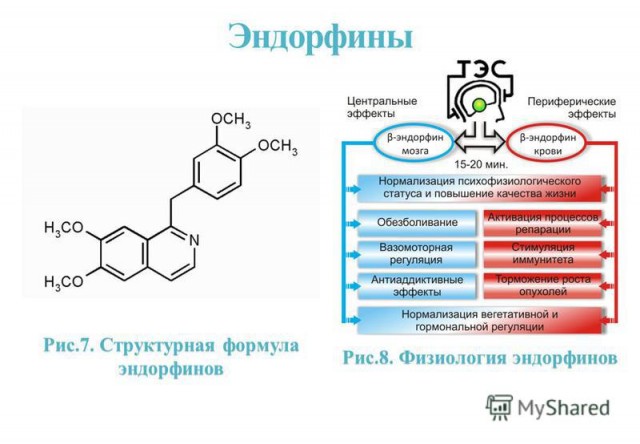 Девушки и крещенские купания