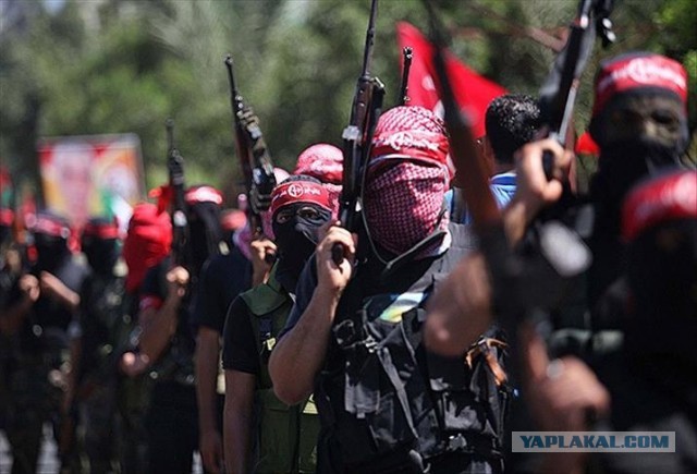 Невыносимая жестокость милосердия