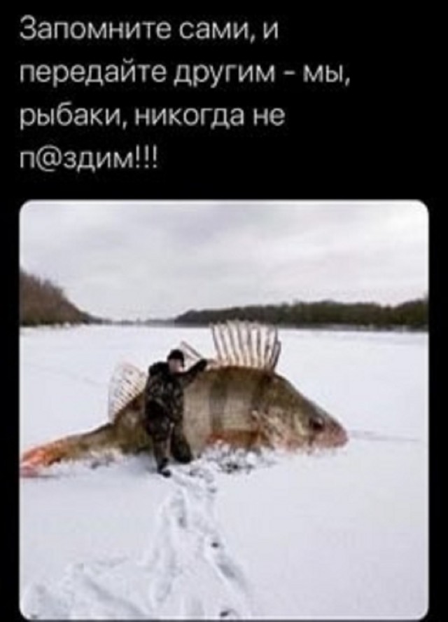 Так себе картинки 06.03.25