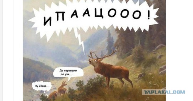 Прикольные звуки животных