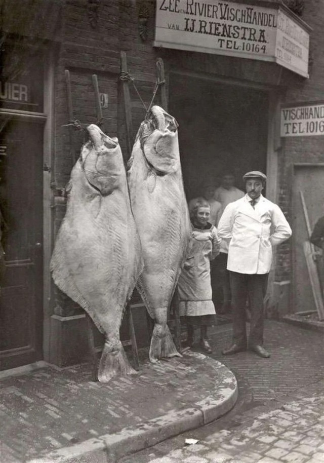 Захватывающие исторические фотографии, на которые которые стоит взглянуть