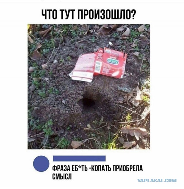 А есть ли тут копатели?