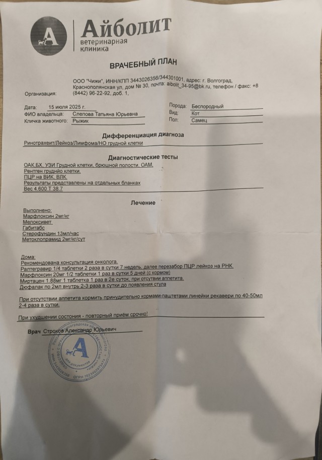 Очень грустный котовторник